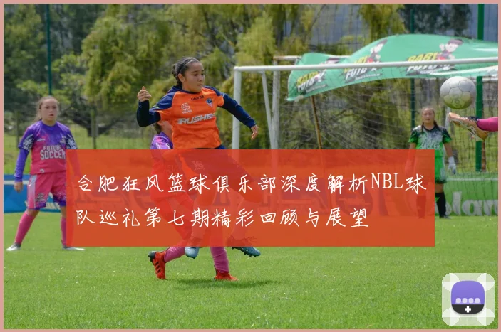 合肥狂风篮球俱乐部深度解析NBL球队巡礼第七期精彩回顾与展望