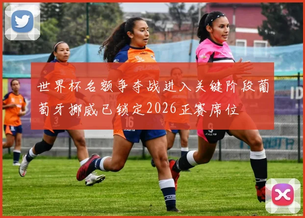 世界杯名额争夺战进入关键阶段葡萄牙挪威已锁定2026正赛席位