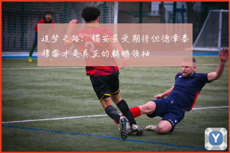 追梦之路：锡安虽受期待但德章泰穆雷才是真正的鹈鹕领袖